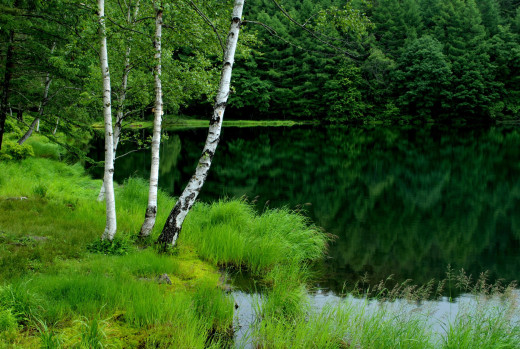 649577 (a): :1920x1285